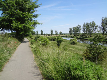 Radweg Stassfurt Hohenerxleben R1 Radweg Stassfurt Hohenerxleben R1