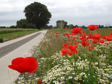 Boderadweg bei Wolmirsleben Boderadweg bei Wolmirsleben