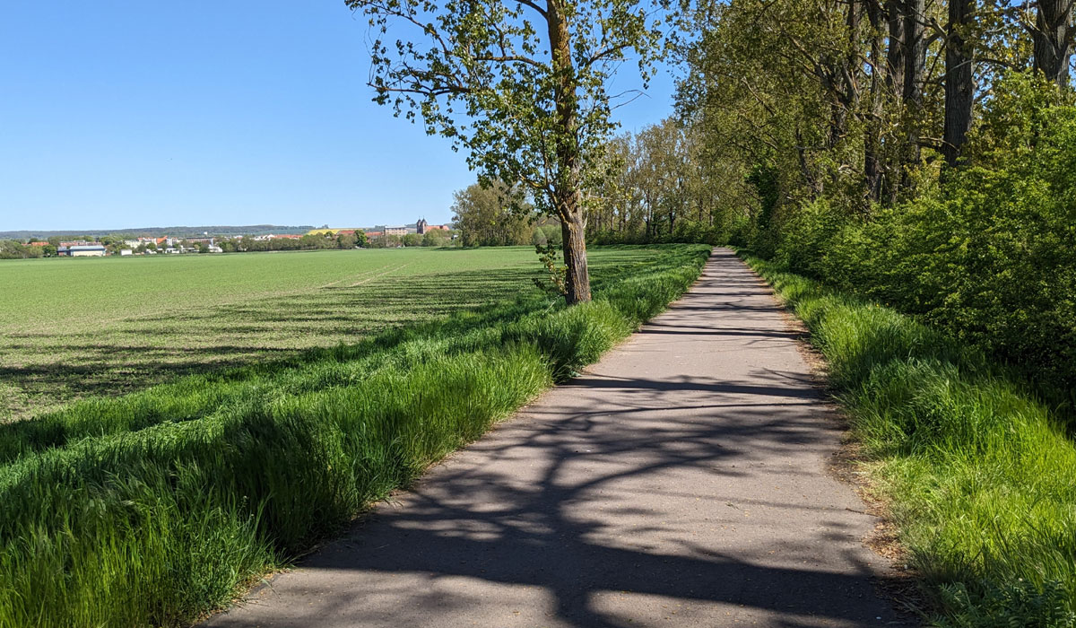 Boderadweg vor Oschersleben