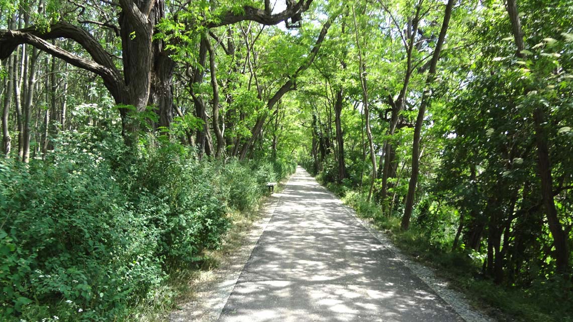 Boderadweg vor Stassfurt Bode Boderagweg vor Stassfurt