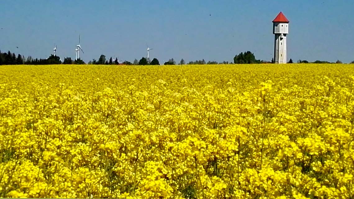 Blick zum Wasserturm Löderburg Blick zum Wasserturm Löderburg