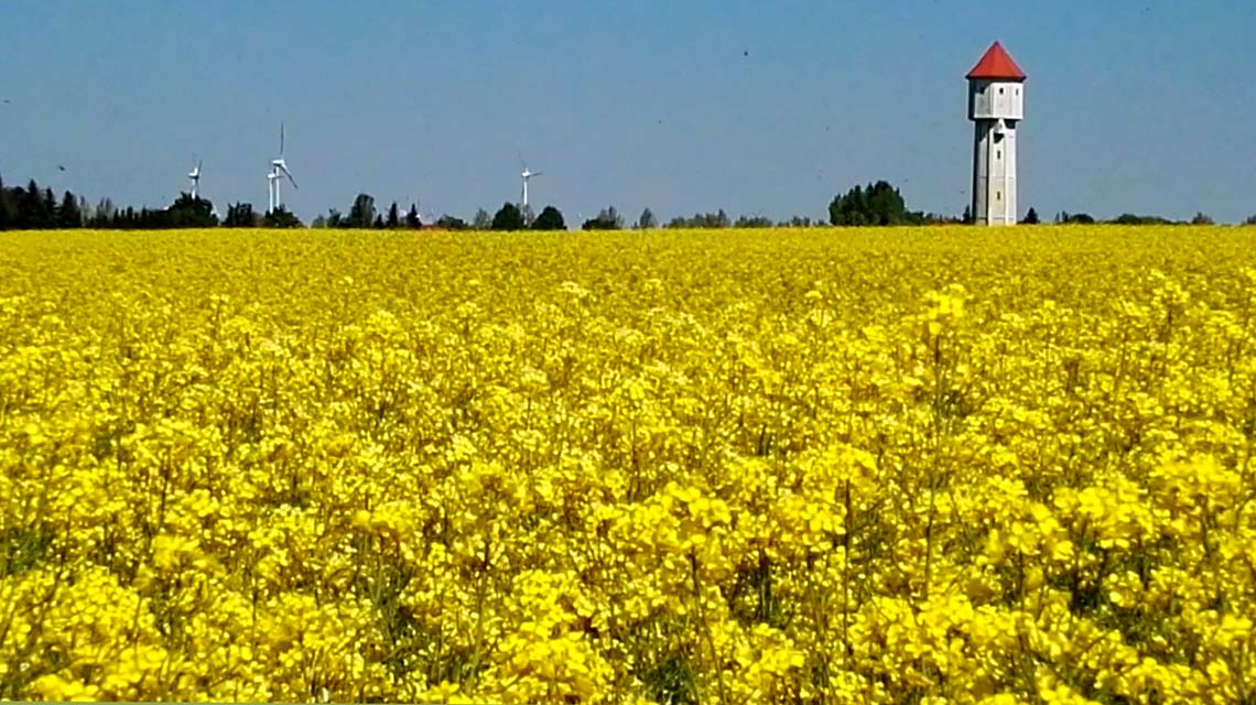 Blick zum Wasserturm Löderburg