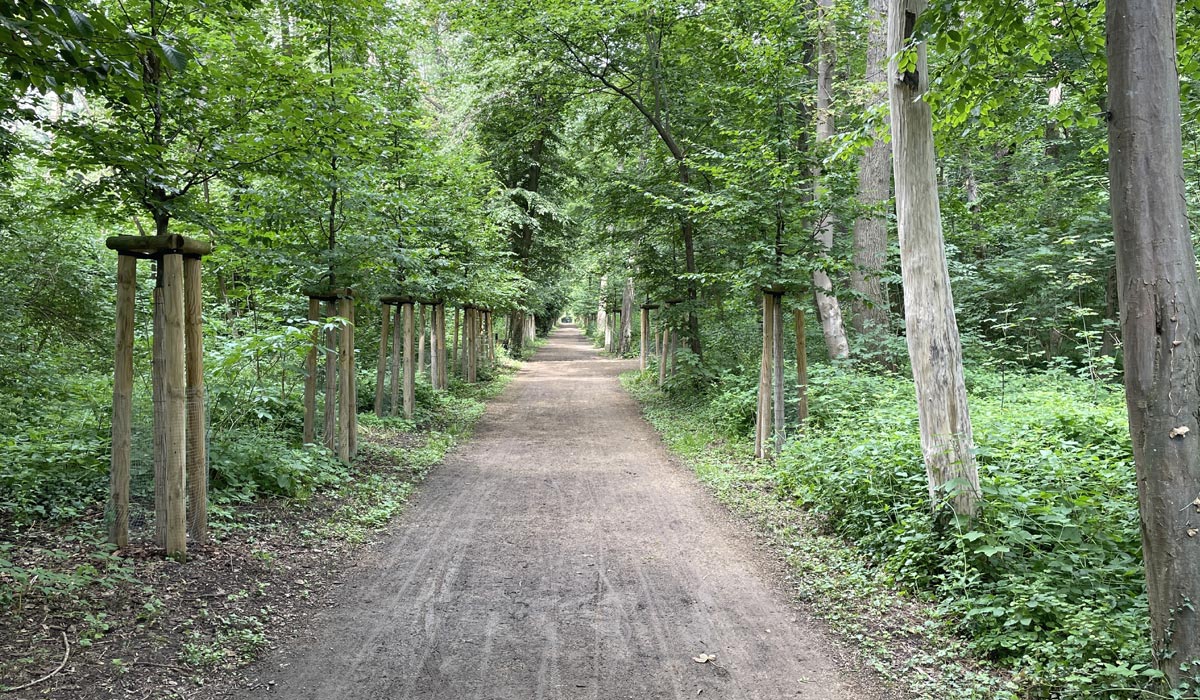 Radeln durch den Schlosspark Neugattersleben Radeln durch den Schlosspark Neugattersleben